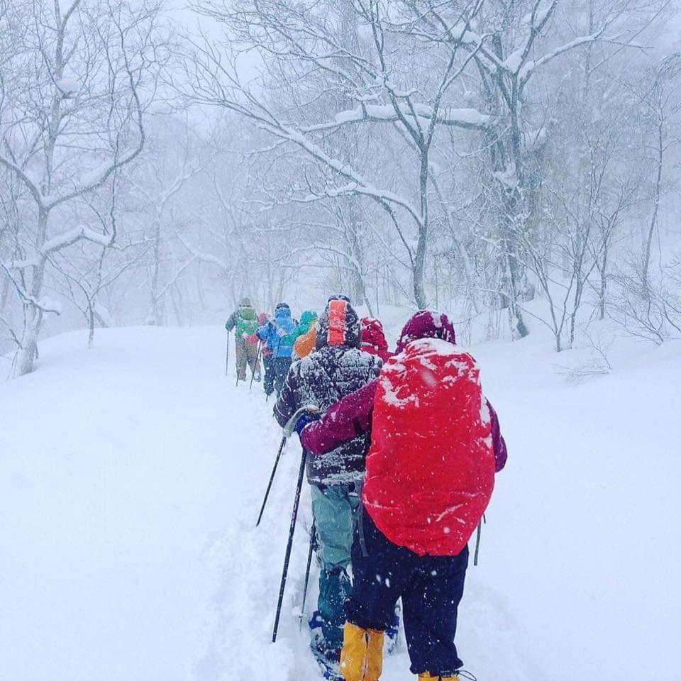 Готель Hakuba Vivaldi Екстер'єр фото